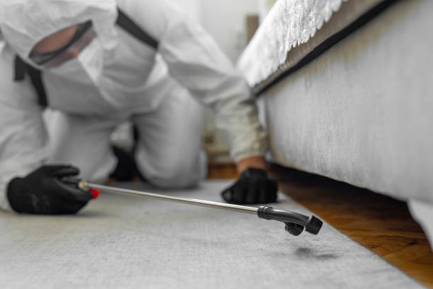 Professional Termite Control technician working in Bellport, NY